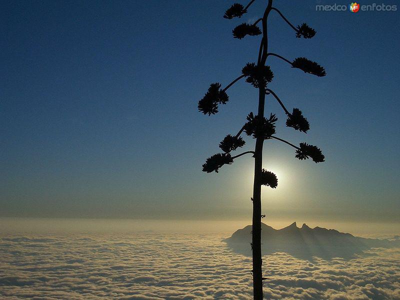 Cerro de la Silla