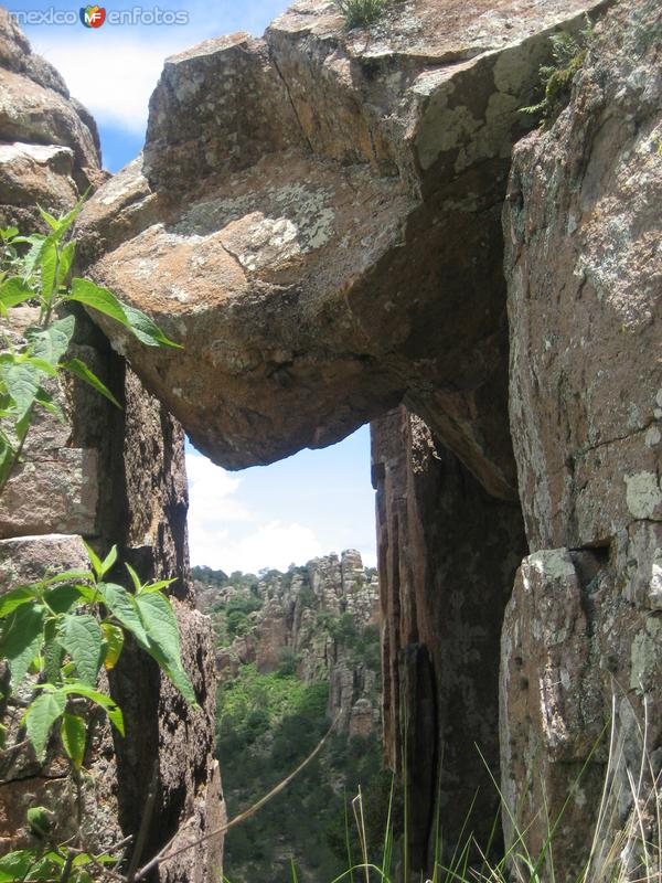 sierra de organos