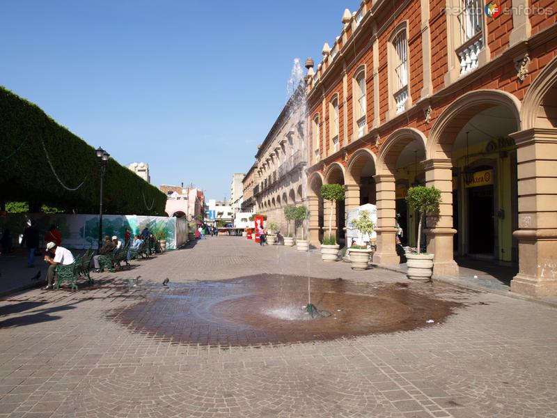 fuente en el jardin