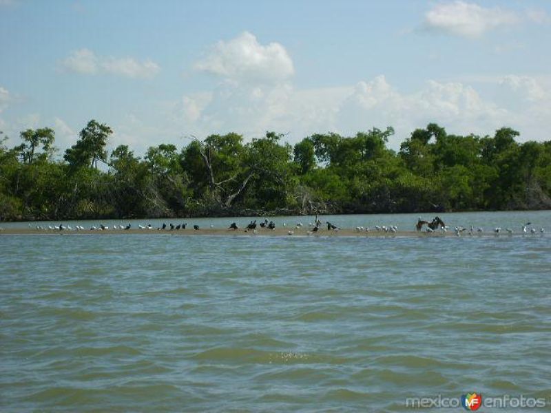 Tecolutla de mañana