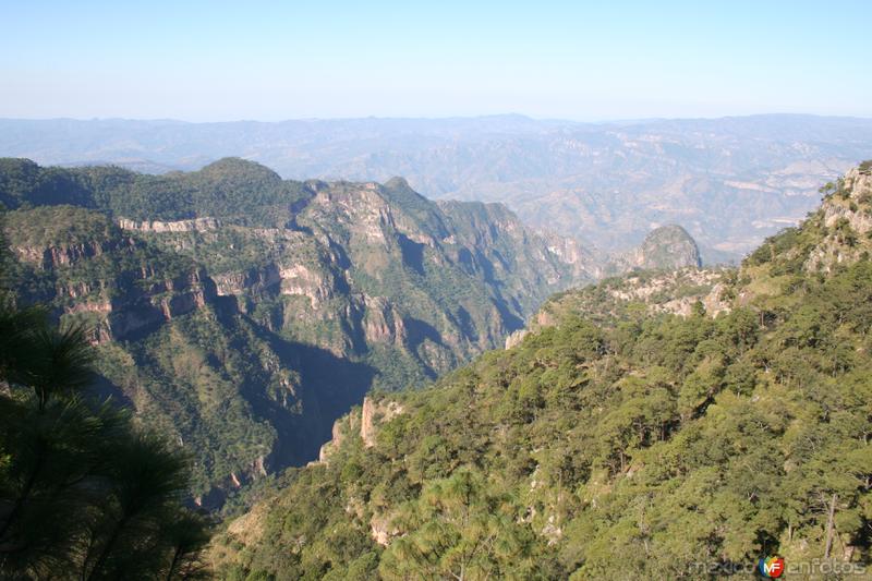 Desde la Sierra Madre Occidental