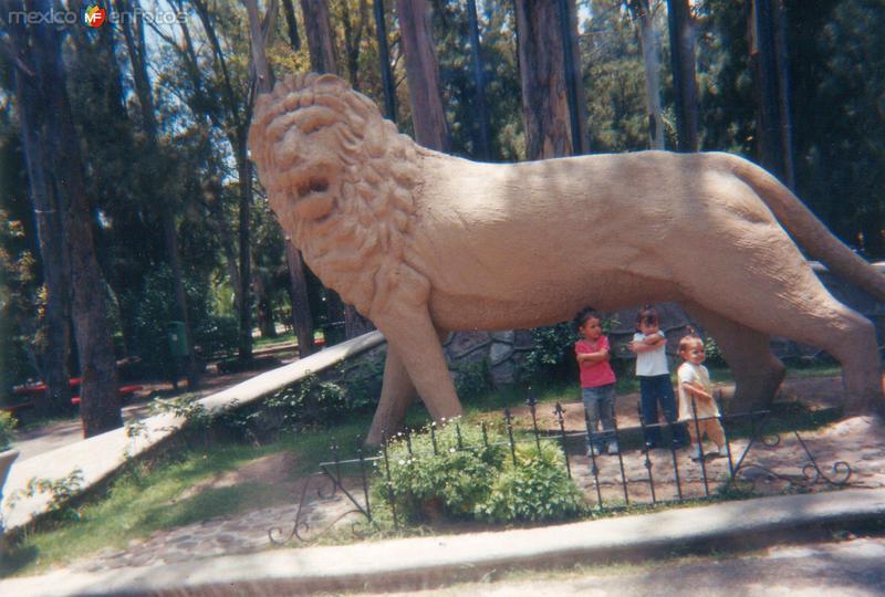 leon en el zoologico