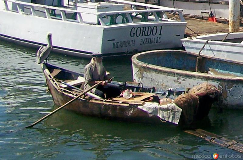 El viejo y el mar