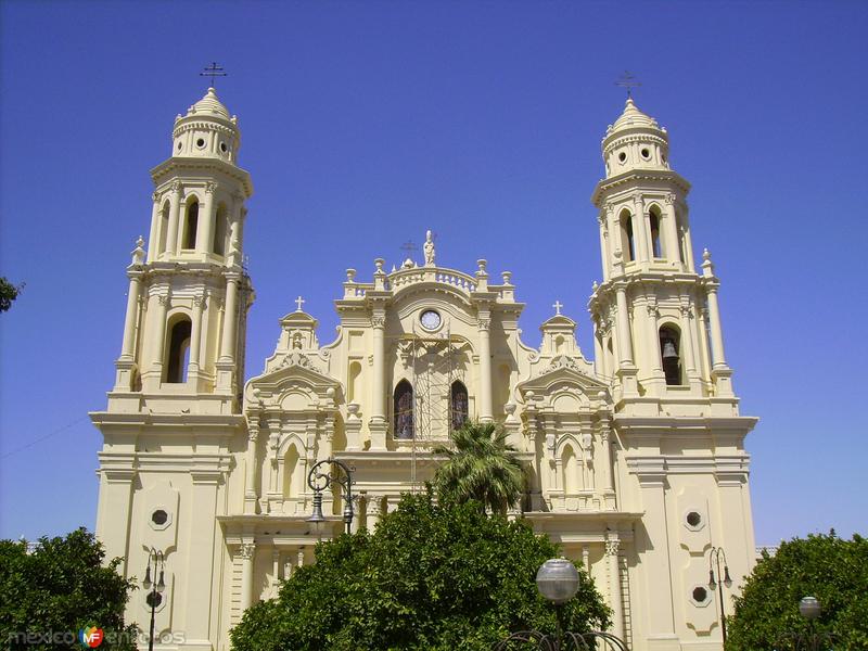 catedral 2
