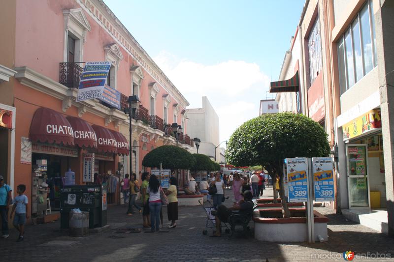 Andador de la Zona Centro