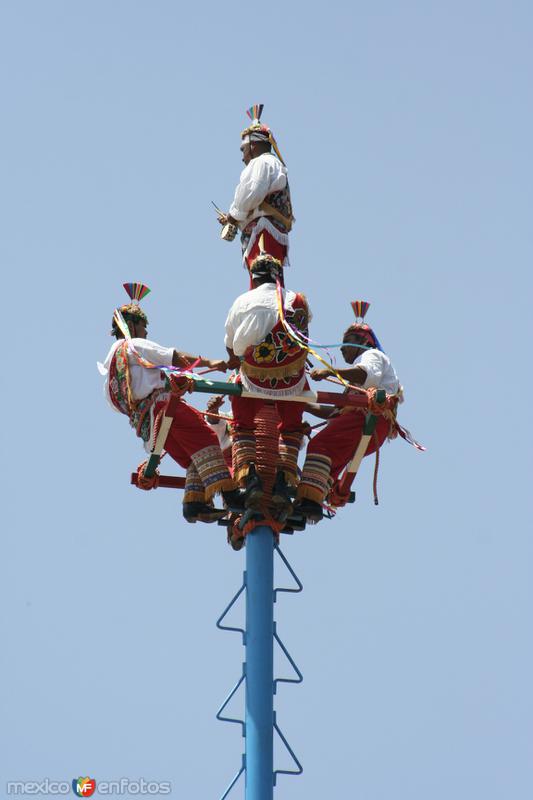 Voladores de papantla