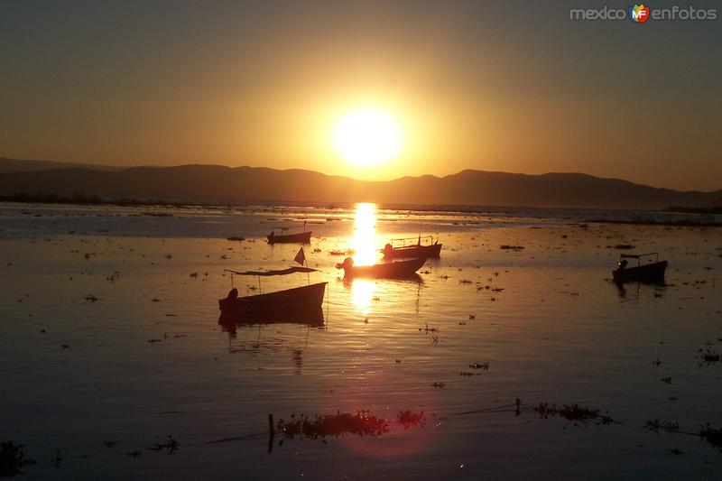 Lancheros de Chapala