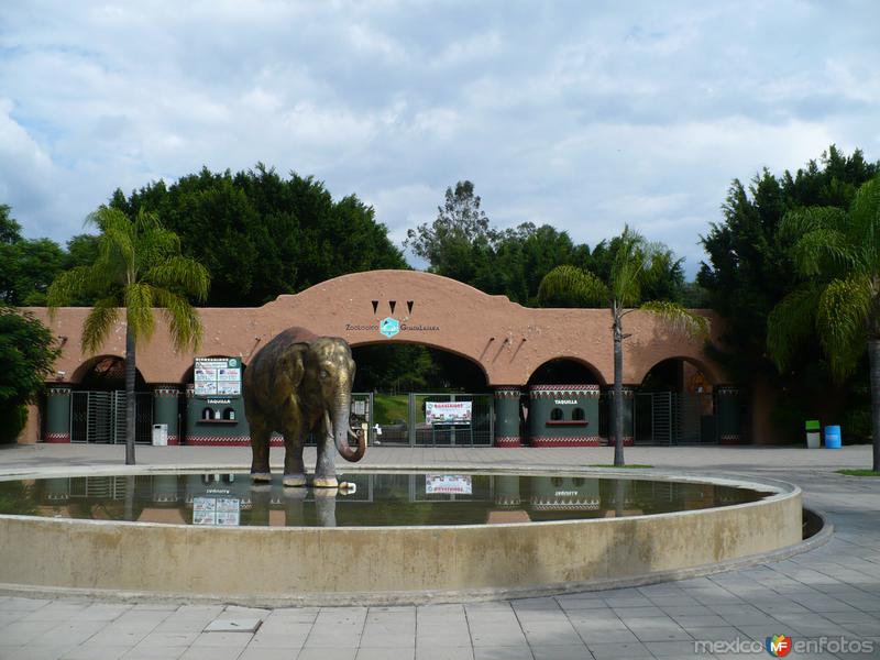Zoologico de Guadalaja