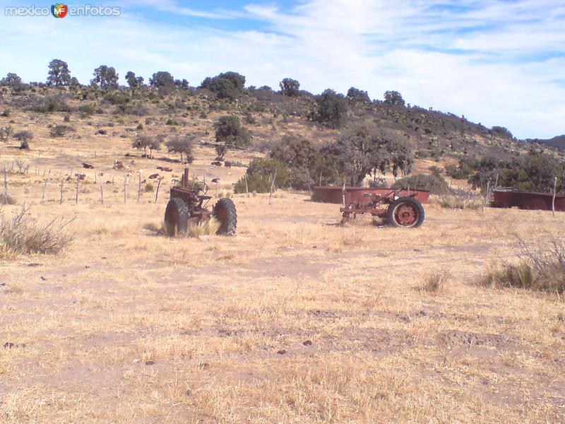 tractores viejos en lasierra de parreños.