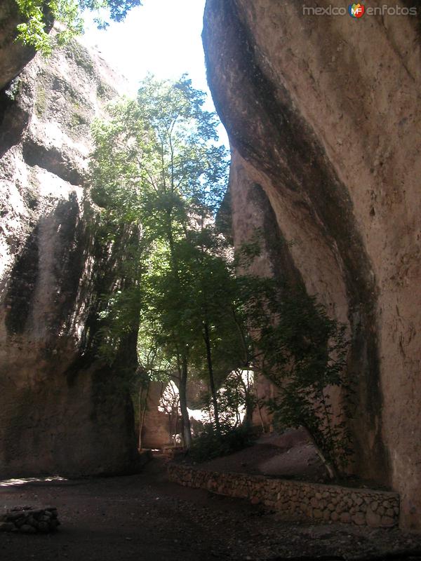 San Francisco de Borja