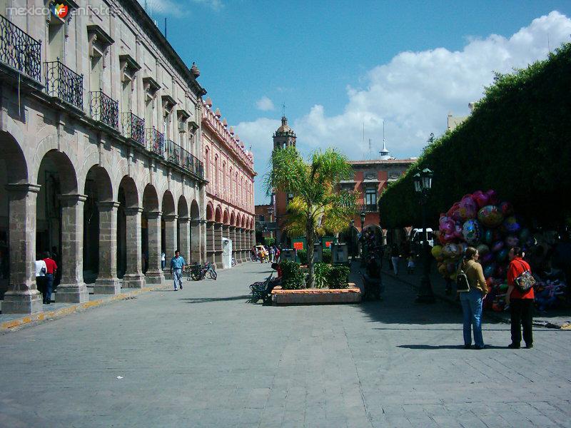 jardin celaya