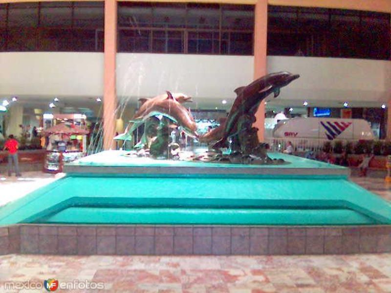 acuario de Veracruz