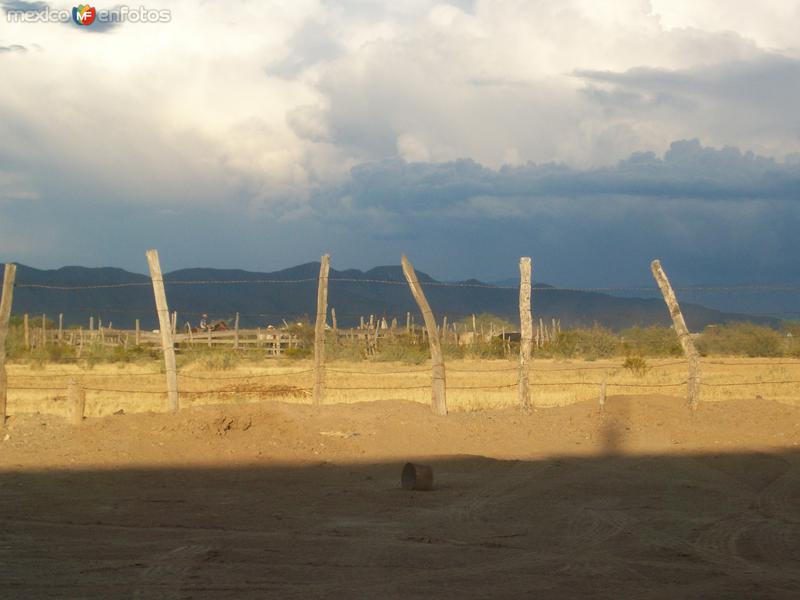 Ejido san guillermo municipio de Ocampo