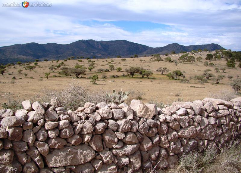 Cerros. Llegando al puerto de El Ranchito desde Zaragoza