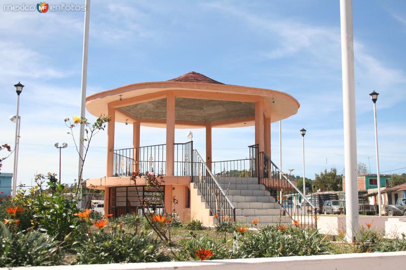 Kiosco de Rosa Blanca