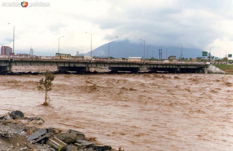 HURACAN GILBERTO EN MONTERREY.... 35 mm