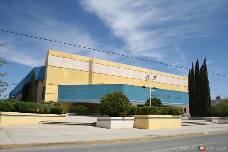 Gimnasio Universitario