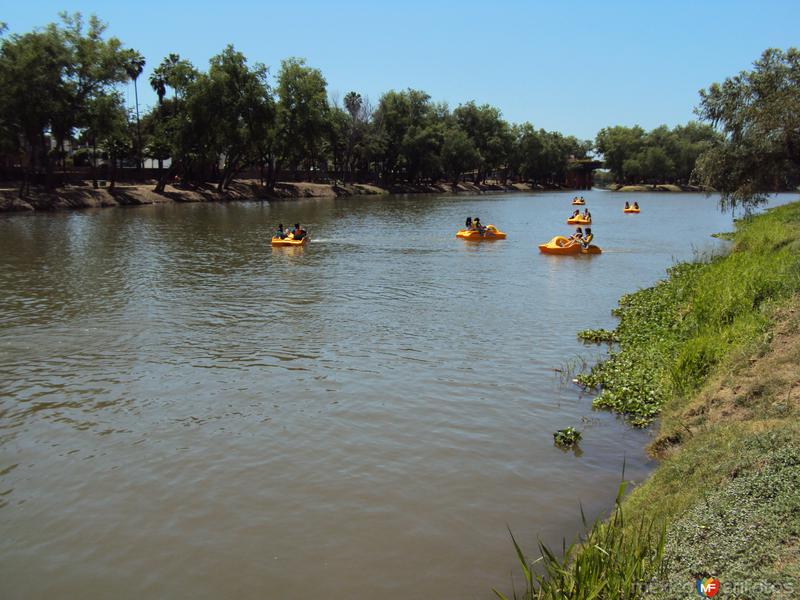 Lanchitas en el Tamazula.