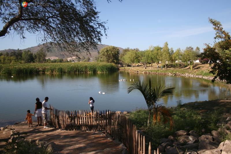 Lago en el Parque