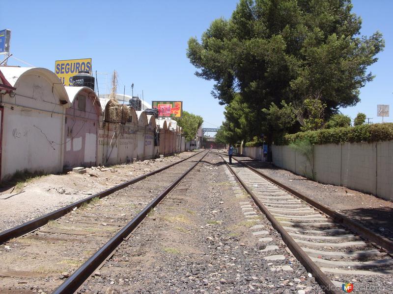 LUGARES DE NOGALES