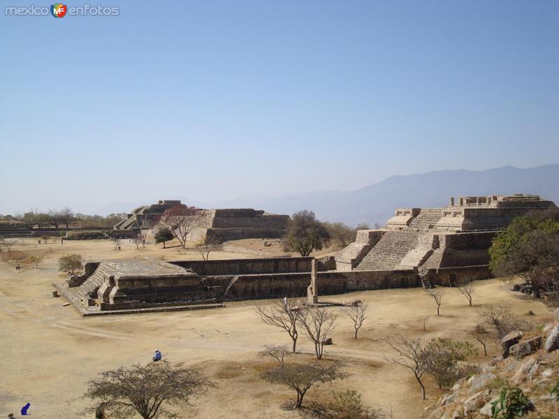 monte alban 1