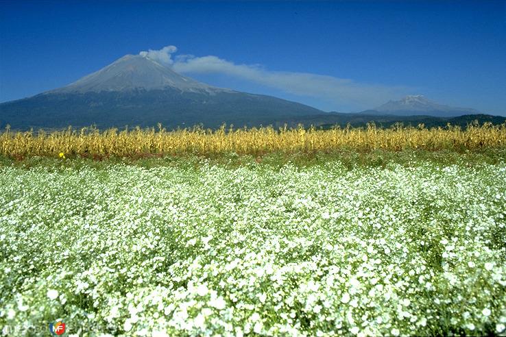 POPOCATEPETL E IZTACCIHUATL DESDE VALLE DE ATLIXCO