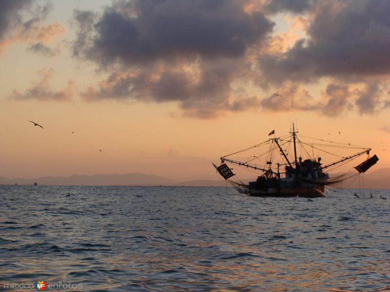 barco camaronero