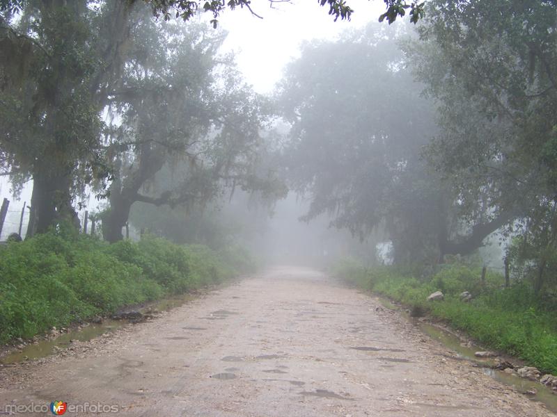 Camino a la Col. Italiana