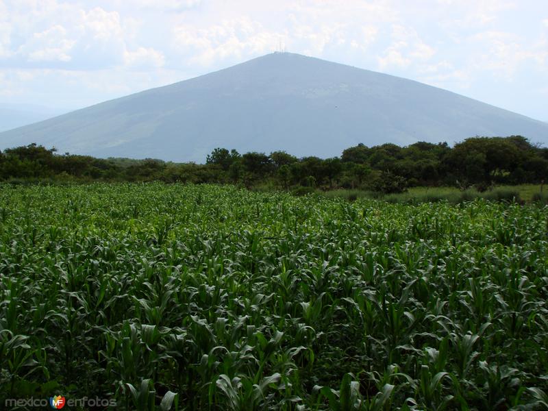 La Gavia. Cerro El Culiacán