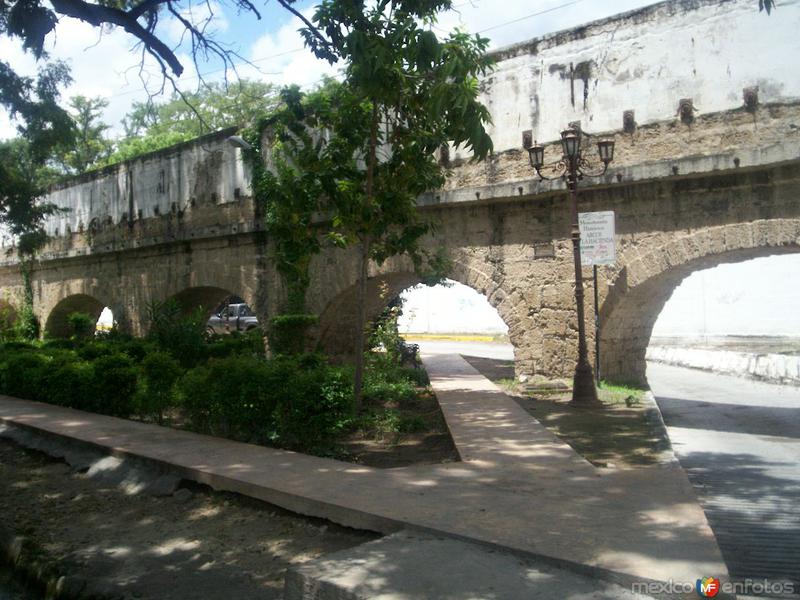 FOTOS DE PARRAS DE LA FUENTE