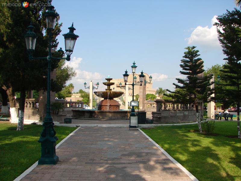 VISTA AL PALACIO MUNICIPAL