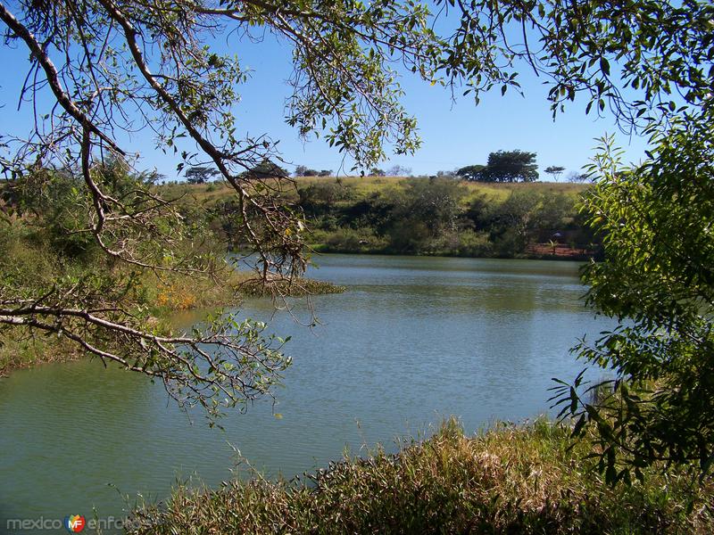 "EL LAGO"