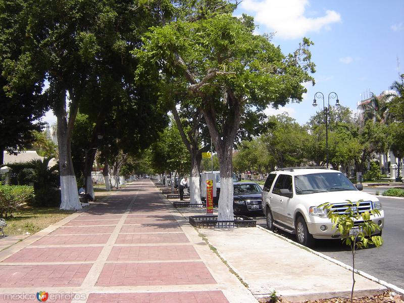 Ciudad Mérida: Paseo Montejo