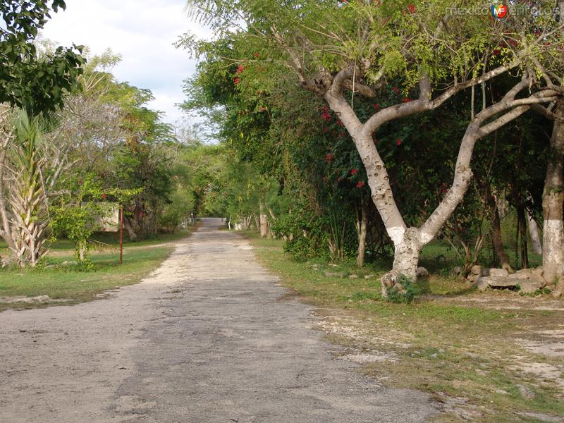 Entrada a la zona arqueológica de Mayapán