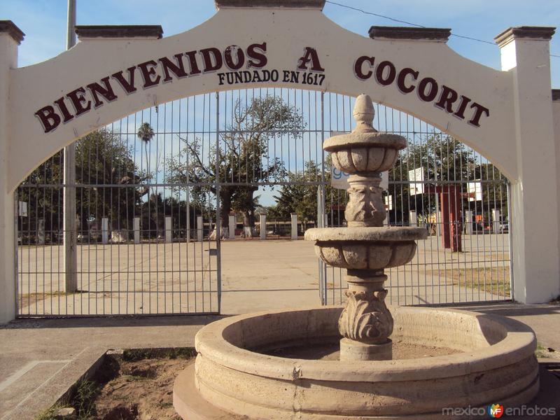 Bienvenidos a Cocorit