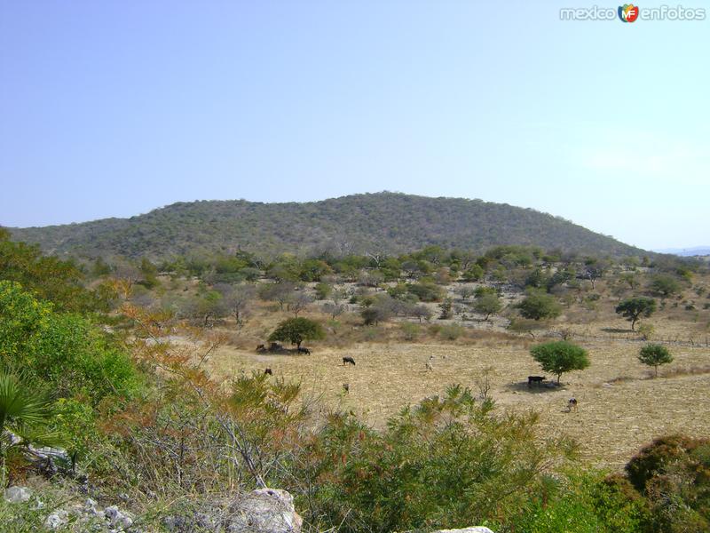 Alrededores de la comunidad de San Miguel de las Palmas, Gro.