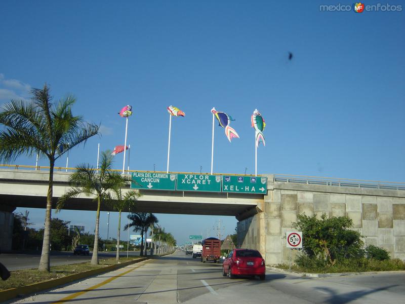 Corredor Playa del Carmen-Tulum, Qroo.