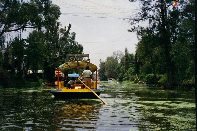 Canales de Xochimilco, DF. 1994