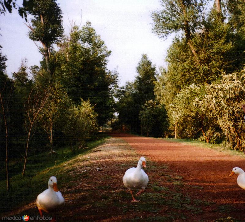 Jardín Botánico de Tizatlán. Tlaxcala. 2007