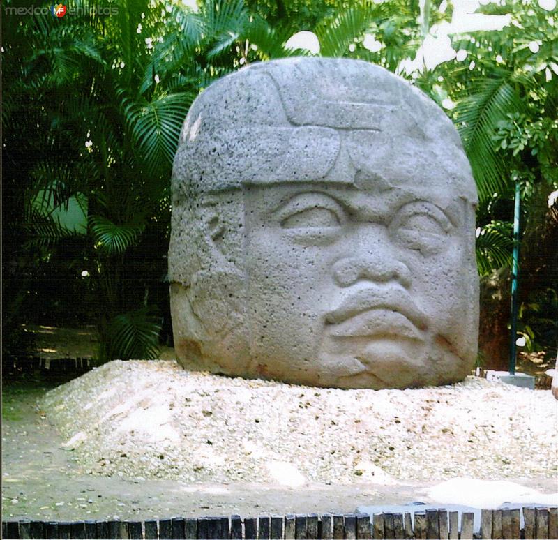 Cabeza Olmeca. Museo La Venta. 2005