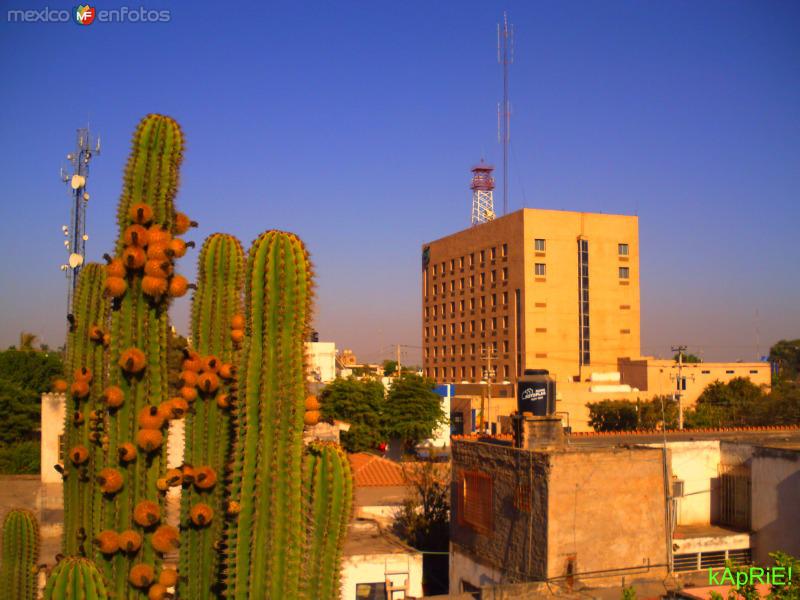 hotel el sembrador