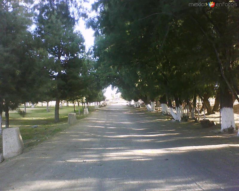 PARQUE DEL CHAMIZAL