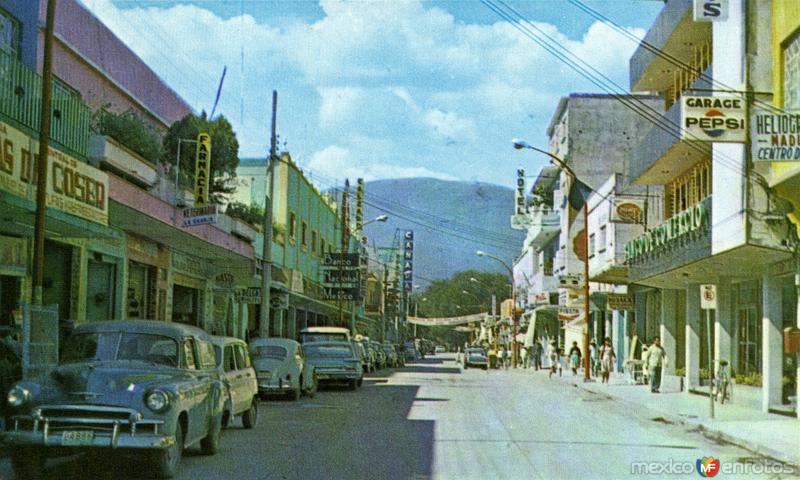 Av. Adolfo Ruíz Cortines (Hoy Bandera Nacional). Iguala, Gro.