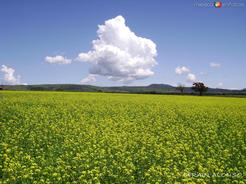 pisajes de la sierra norte de puebla