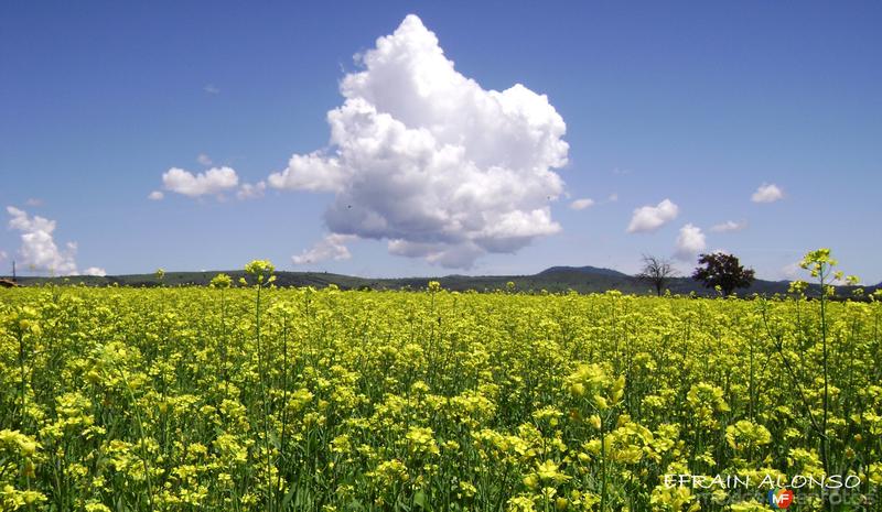 pisajes de la sierra norte de puebla