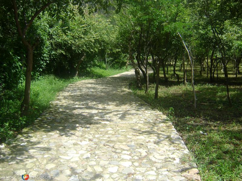 Calzada de acceso a la zona arqueológica de Chalcatzingo. Agosto/2011