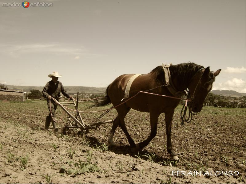 arando la tierra