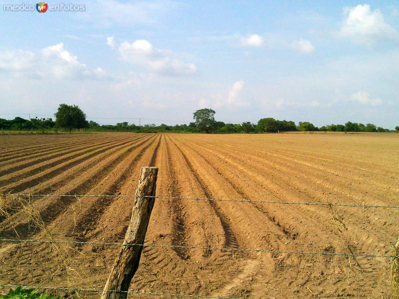 Pictures of San Felipe de Aztatán, Nayarit, Mexico: Campos Agrícolas