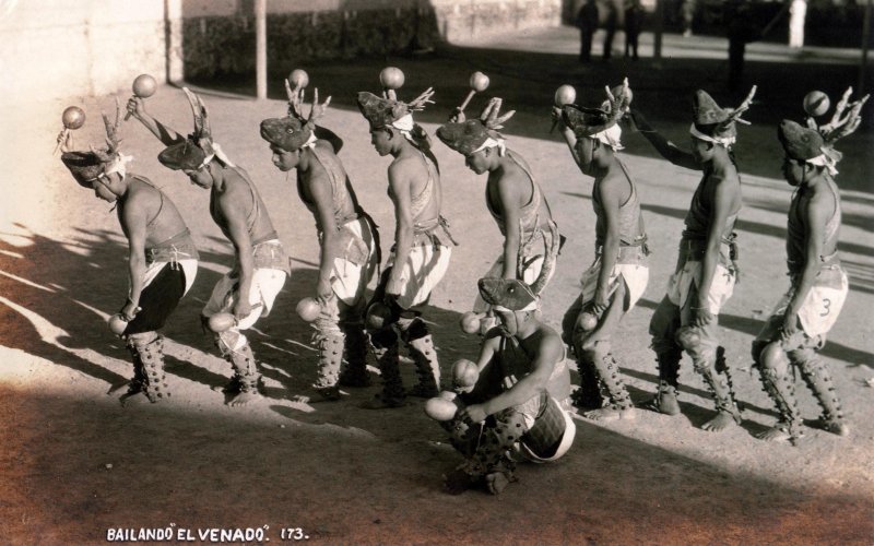 Bailando El Venado