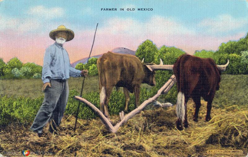 Campesino mexicano